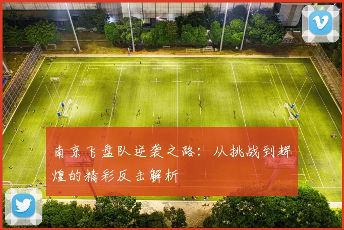 南京飞盘队逆袭之路：从挑战到辉煌的精彩反击解析