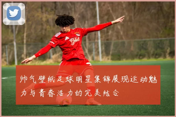 帅气壁纸足球明星集锦展现运动魅力与青春活力的完美结合