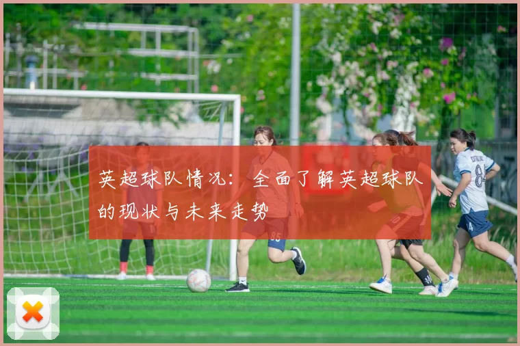 英超球队情况：全面了解英超球队的现状与未来走势