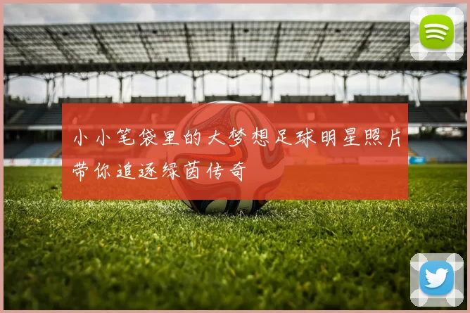 小小笔袋里的大梦想足球明星照片带你追逐绿茵传奇