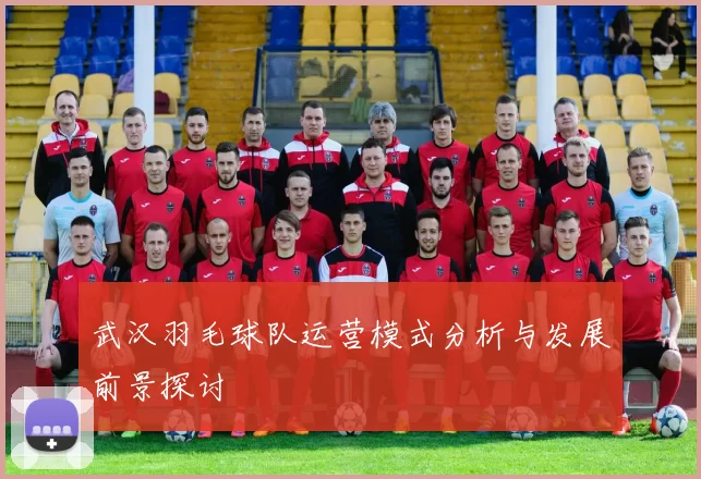 武汉羽毛球队运营模式分析与发展前景探讨