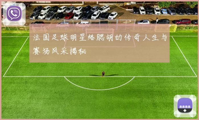 法国足球明星络腮胡的传奇人生与赛场风采揭秘