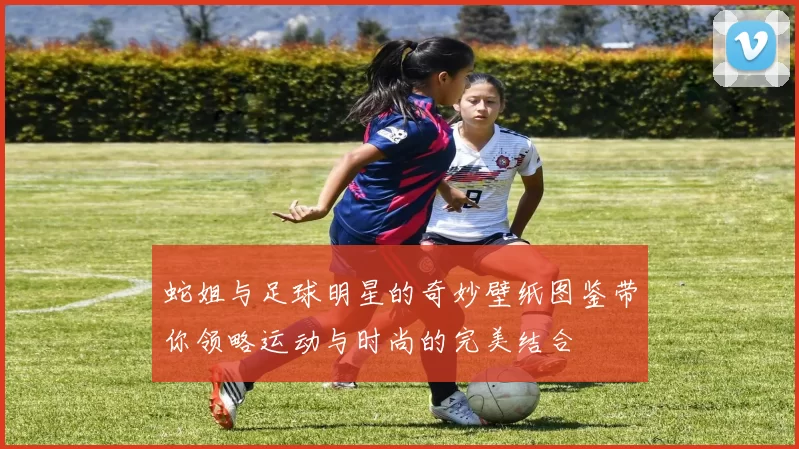 蛇姐与足球明星的奇妙壁纸图鉴带你领略运动与时尚的完美结合