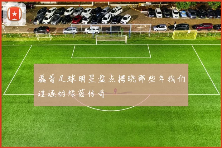 磊哥足球明星盘点揭晓那些年我们追逐的绿茵传奇