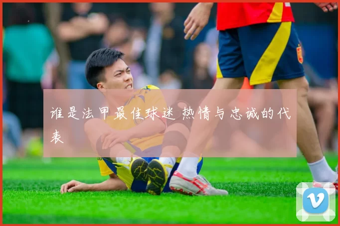 谁是法甲最佳球迷 热情与忠诚的代表