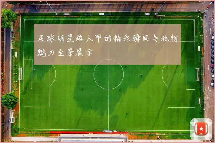 足球明星路人甲的精彩瞬间与独特魅力全景展示