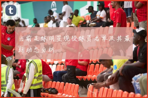 当前足球明星现役球员名单及其最新动态分析