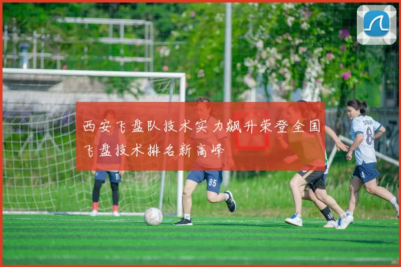 西安飞盘队技术实力飙升荣登全国飞盘技术排名新高峰