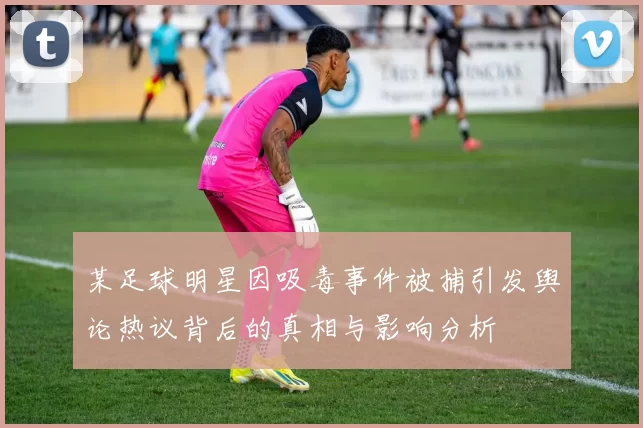 某足球明星因吸毒事件被捕引发舆论热议背后的真相与影响分析