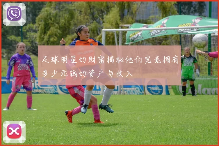 足球明星的财富揭秘他们究竟拥有多少元钱的资产与收入