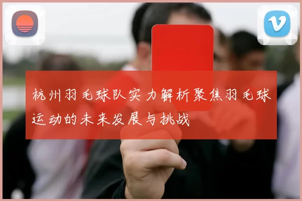 杭州羽毛球队实力解析聚焦羽毛球运动的未来发展与挑战