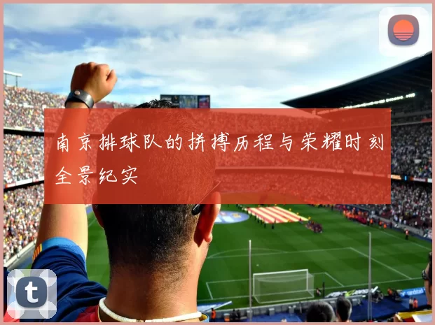南京排球队的拼搏历程与荣耀时刻全景纪实