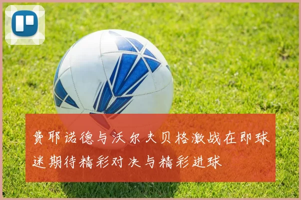 费耶诺德与沃尔夫贝格激战在即球迷期待精彩对决与精彩进球