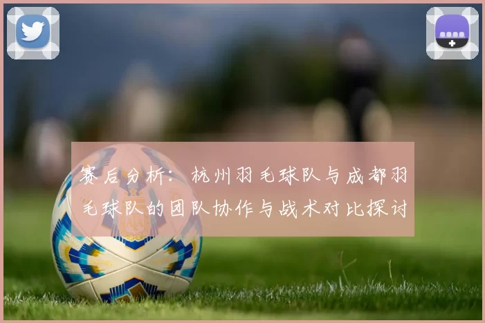 赛后分析：杭州羽毛球队与成都羽毛球队的团队协作与战术对比探讨
