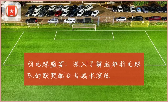 羽毛球盛宴：深入了解成都羽毛球队的默契配合与战术演练