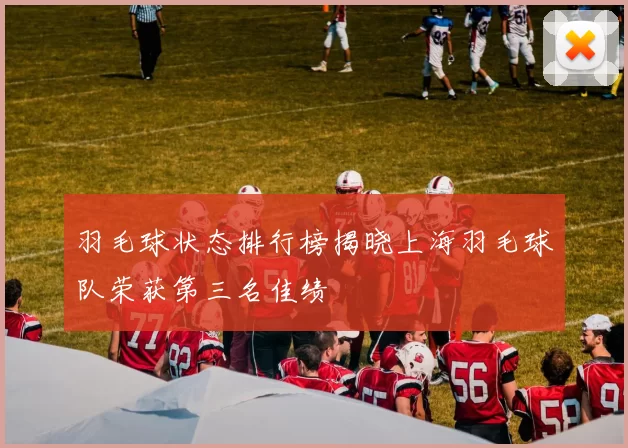 羽毛球状态排行榜揭晓上海羽毛球队荣获第三名佳绩