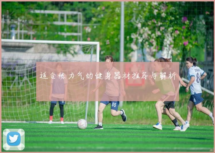 适合练力气的健身器材推荐与解析
