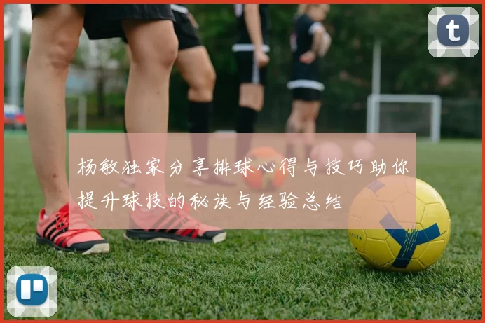 杨敏独家分享排球心得与技巧助你提升球技的秘诀与经验总结