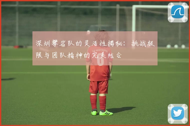 深圳攀岩队的灵活性揭秘：挑战极限与团队精神的完美结合