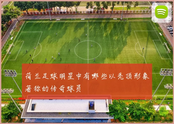 荷兰足球明星中有哪些以秃顶形象著称的传奇球员
